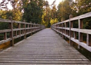 Holzbrücke